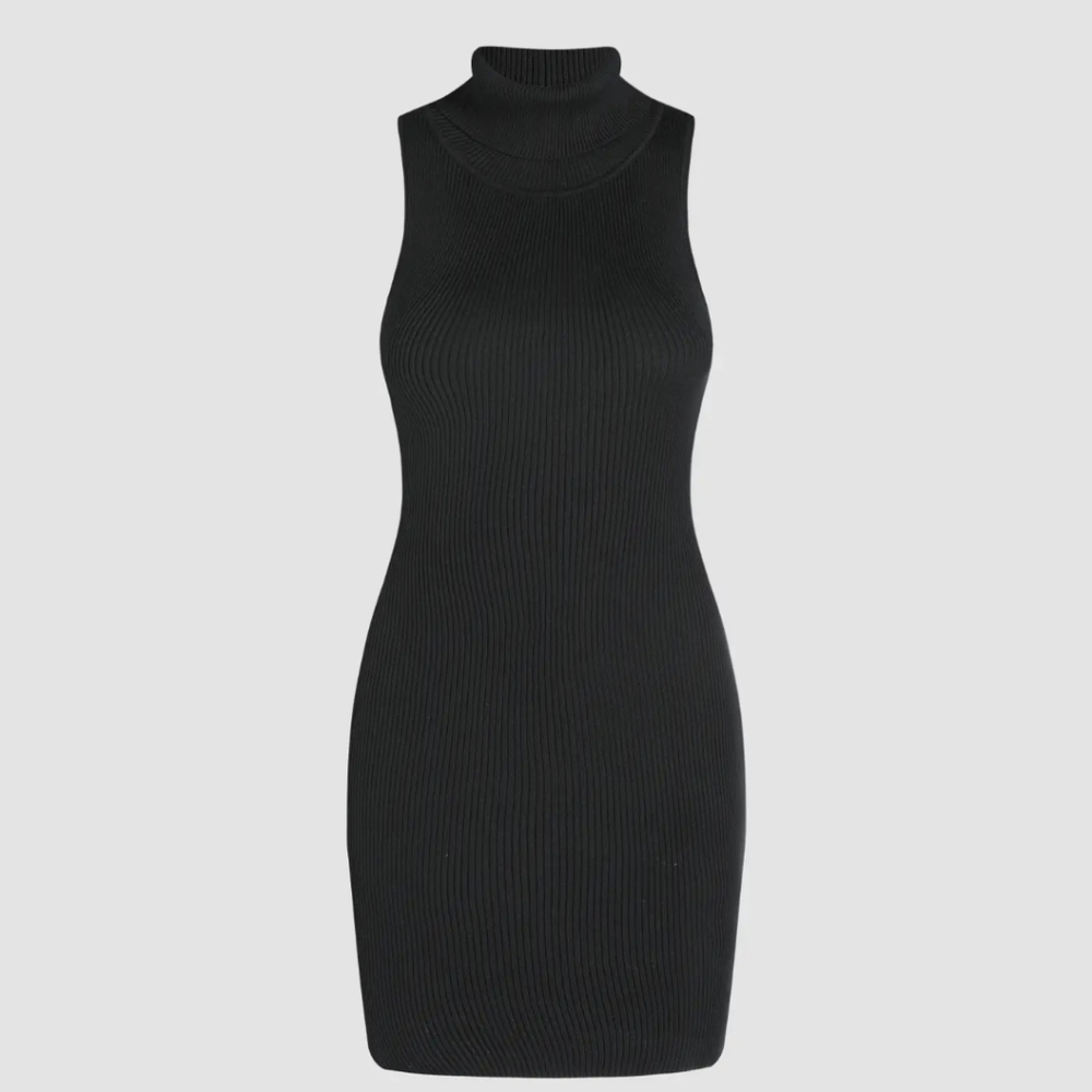 Turtleneck sweater dress